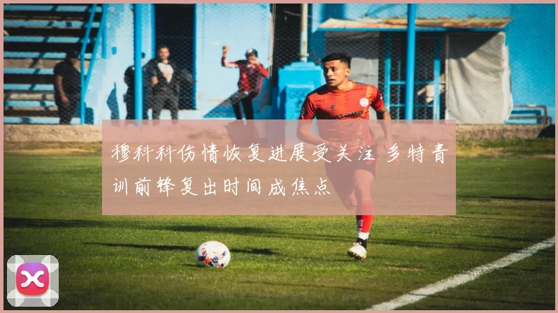 穆科科伤情恢复进展受关注 多特青训前锋复出时间成焦点