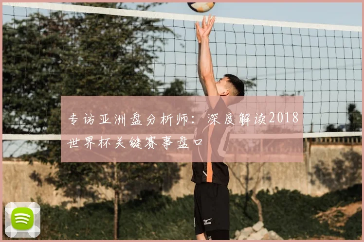 专访亚洲盘分析师：深度解读2018世界杯关键赛事盘口