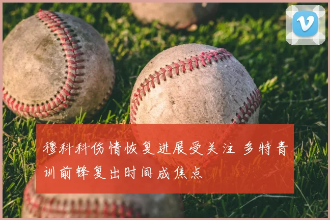 穆科科伤情恢复进展受关注 多特青训前锋复出时间成焦点
